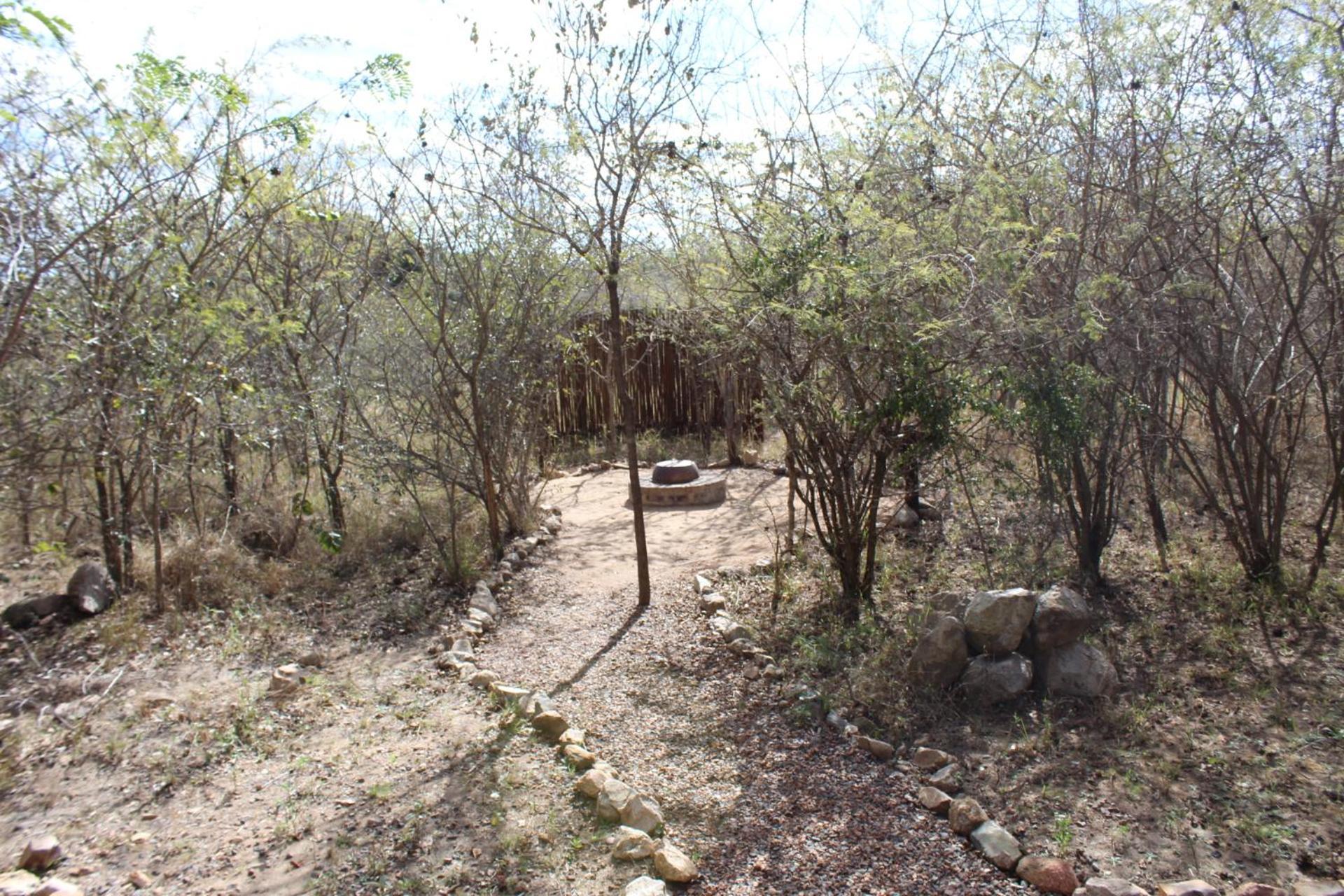 Mjejane Bush Camp By Dream Resorts 赫克托斯普雷特 外观 照片